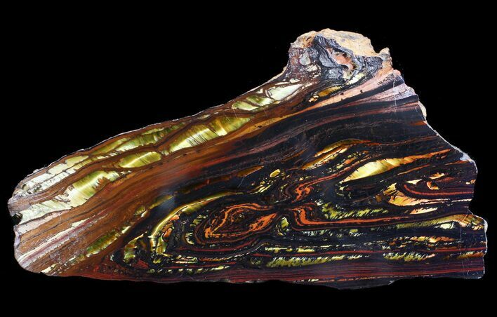 Polished Tiger Iron Stromatolite - ( Billion Years) #65543